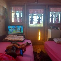 Brvnara Radisavljevic Sikole