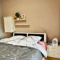 2-room apartment with attached bathroom No Kitchen