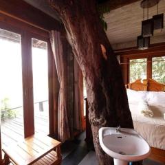 P&P Coffee & Resort Maesariang