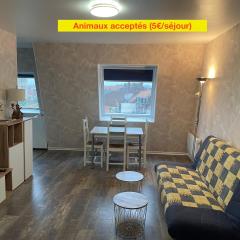 Grand studio Centre-ville avec ascenseur