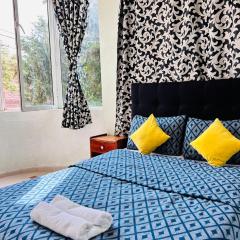 Jolie appartement calme avec cheminée & bois