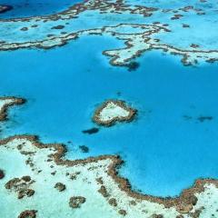 Tropical Mango House Stay