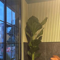 Apartment on the sea