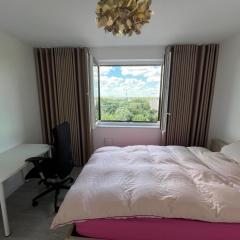 Premium and city close, Top transport links