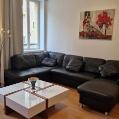 Grand appartement en centre ville