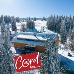 Wiesenquell Apartment Feldberg