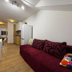 Kraków Riverside & Old Town Apartment