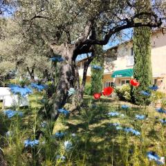 La Picholine en Provence