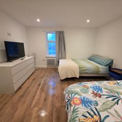 Studio Flat Peckham Rye London Apartment Zone 2 Location