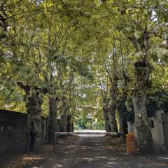 Studio with parking near metro D Vaise station