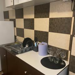 Apartament Calea București