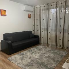 Apartament Centru