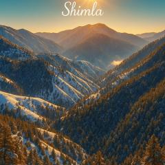 Hotel Royal Cedar Simla