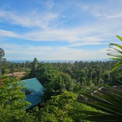 Seaview Studio Jungle