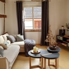 Gîte "Au quart de Tour" entre vignes et vosges