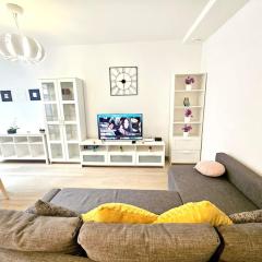 Comfort 2BR flat close to city center