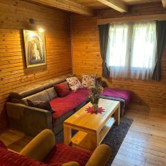 MM Lodge-Mountain House on the Road to Ski Center