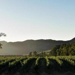 Arendsig Wine Estate and River Eco Cabin