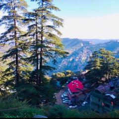 The Boho Shimla