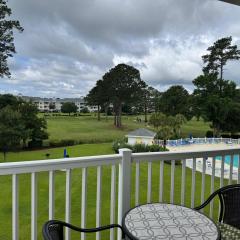 Magnolia Pointe Luster Leaf 4894-301