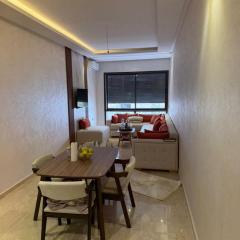 Beautiful New High Standing one-Bedroom Apartment, Air-Conditioning, Fiber Optic, Balcony