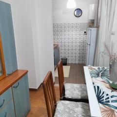 Vittorio Emanuele Central Apartment