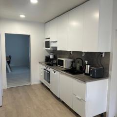 Hostel400Kokkola Lehmustien iso Asunto