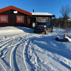 Tradisjonell Hytte I Nøsterbølia