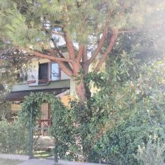 Detached Garden Duplex Summer House