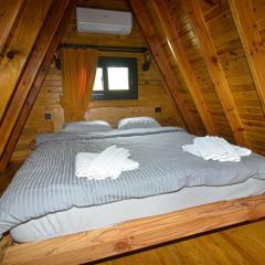 Modern 1BR & 1LR Bungalow with Exclusive Pool