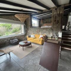 suites en la montaña con propuesta de viñedo