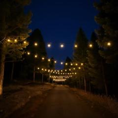 Pinebox at Evergreen Modern 20Acres -Serene-Creek