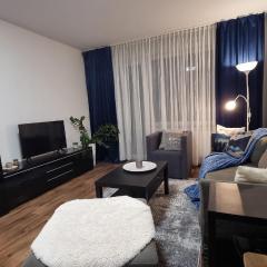 Family & Business Apartment Erlangen, Siemens & Uni Nähe