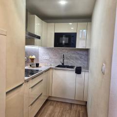 Small studio with loft bed