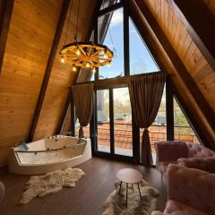 Beaver lodge - Dabrova Koliba