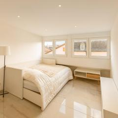 Exceptionnel DeLuxe Studio, Rénové, MULHOUSE CENTRE