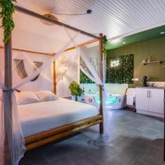 Sault Tropical - Idéal couple - Balnéo Led - Vue parc & montagne - Wifi - Stationnement gratuit - 5min à pied des bars, restaurants & commerces