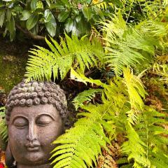 Panorama Meckenbeuren