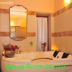 Free wellness and saunapark Castle Resort Spa