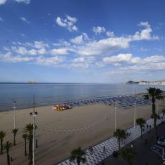 CACHIRULO 6D - Fincas Arena