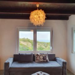 Pure nature lovely view house