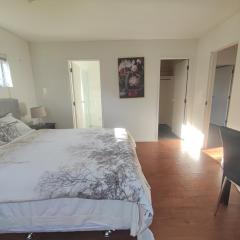 Epsom House close to CBD