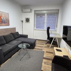 Cozy apartment in the center of Belgrade - living room, bedroom and bathroom