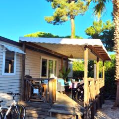 Mobilhome Argèles Plage à 500m Camping DEL MAR