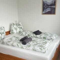 Danner Familien-Ferienwohnungen - Ruhige Lage, 650 m zum Attersee & zentral in Schörfling