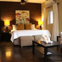 Suite Romantica Valle AC WiFi Alberca y Asador