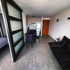 Comodo departamento en el corazon del centro