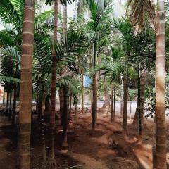 Sadguru Krupa Cottage