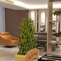 VX Hotel Wuhan Optics Valley Yangjia Bay Metro Station