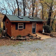 Secluded Mountain Cabin Retreat with Scenic Woodland Views near Black Mountain, NC